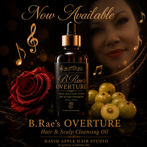 B.Rae's Overture